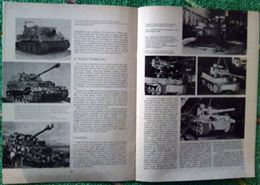 Foto - 11