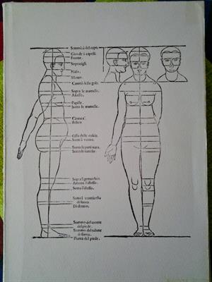 DURERO - Della simmetria dei corpi humani, tipo pergamena - Anteprima 3