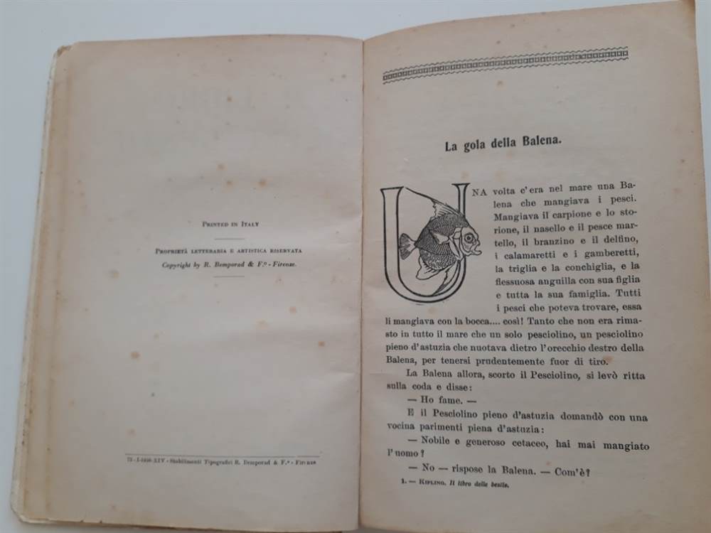 Foto 3Letteratura per l’infanzia - Kipling