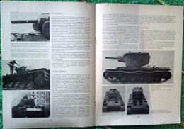 Foto - 10