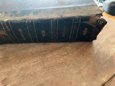 Tesi medicina 1920 francese