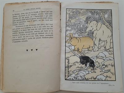 Letteratura per l’infanzia - Kipling - Anteprima 4