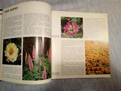 MERAVIGLIE della Tecnica, Natura, Biologia. 3 vol - Foto 4