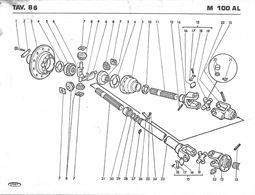 Foto - 7