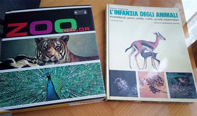 Libri sugli animali 2 pezzi (anno 1975)