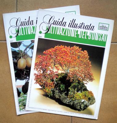 Rivista VITA IN CAMPAGNA e ca. INGEGNOLI