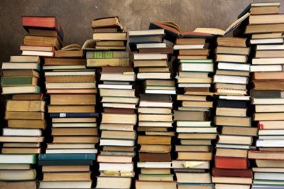 Raccolta libri