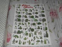 Poster Alberi d'Italia in buone condizioni.