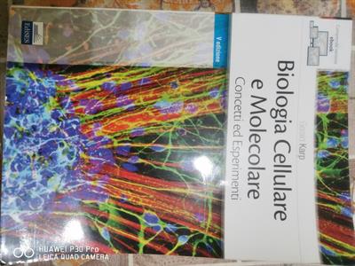 Libri universitari