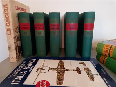 Enciclopedia Animali, Insetti e Altro