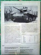 Foto - 8