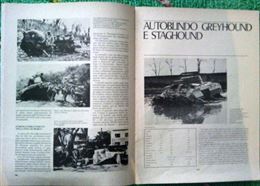 Foto - 12