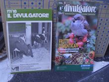IL Divulgatore 9 numeri 1982-2010 - Anteprima 2