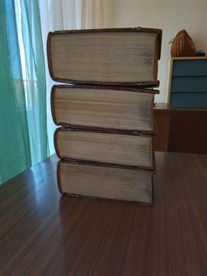 Foto - 12