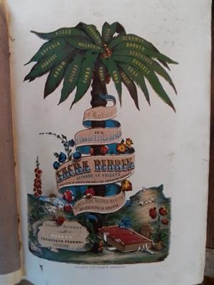 SACRA BIBBIA -Mons. MARTINI- 1862() - PAGNONI Editore, ottime condizioni - Foto 3