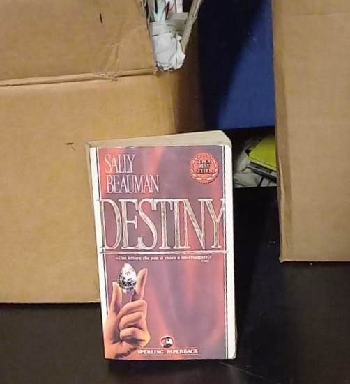 Destiny - sally beauman