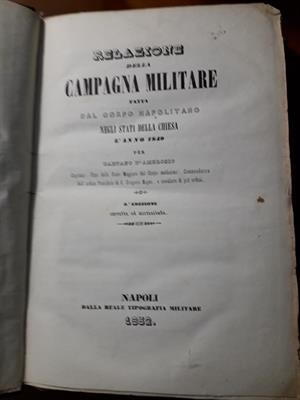 Relazione della campagna militare