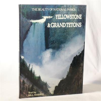 Yellowstone and Grand Tetons